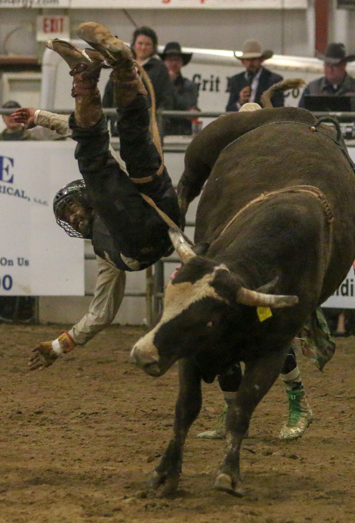 BullBash-7.JPG